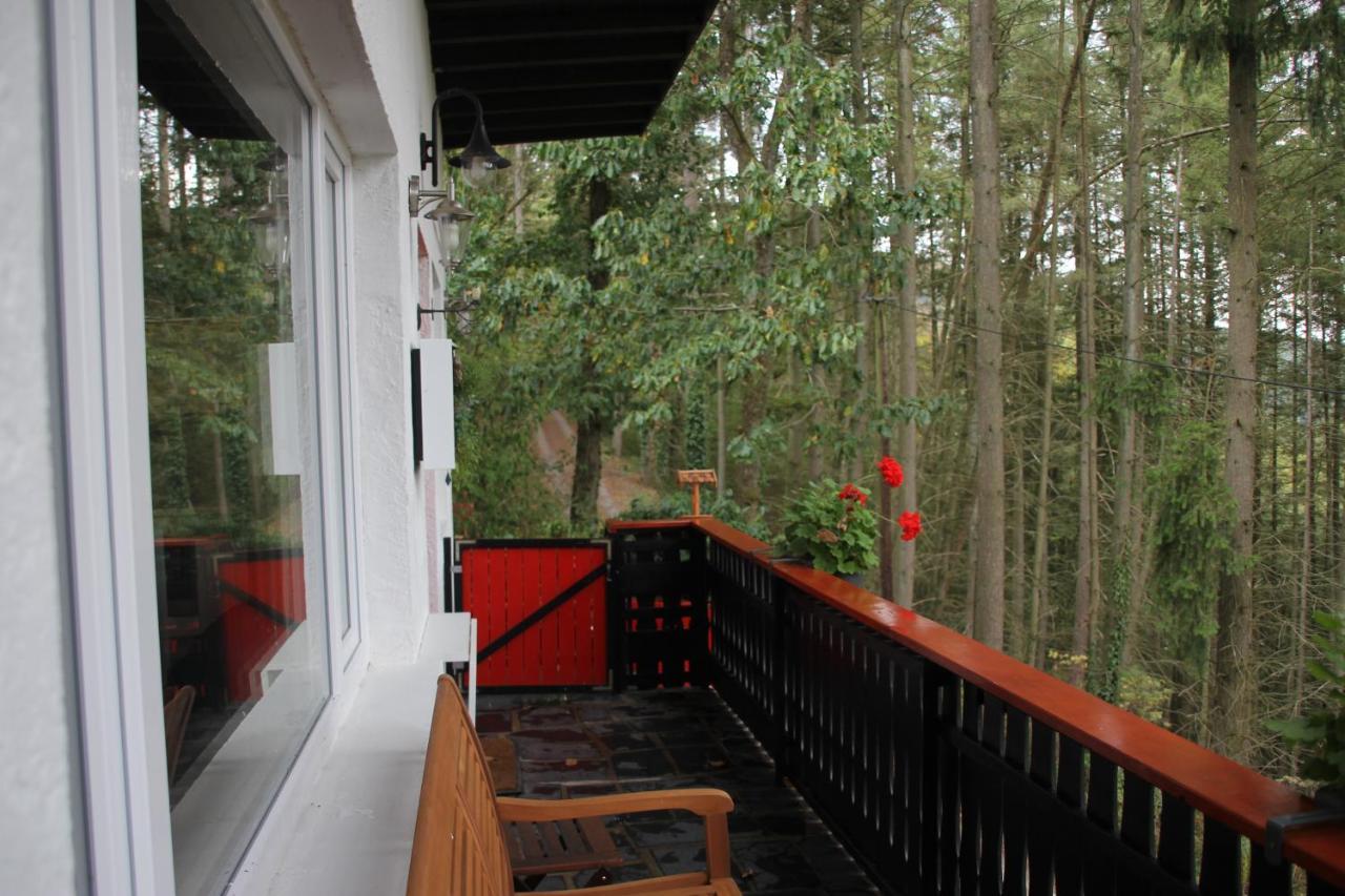 The Vianden Cottage - Charming Cottage In The Forest Esterno foto