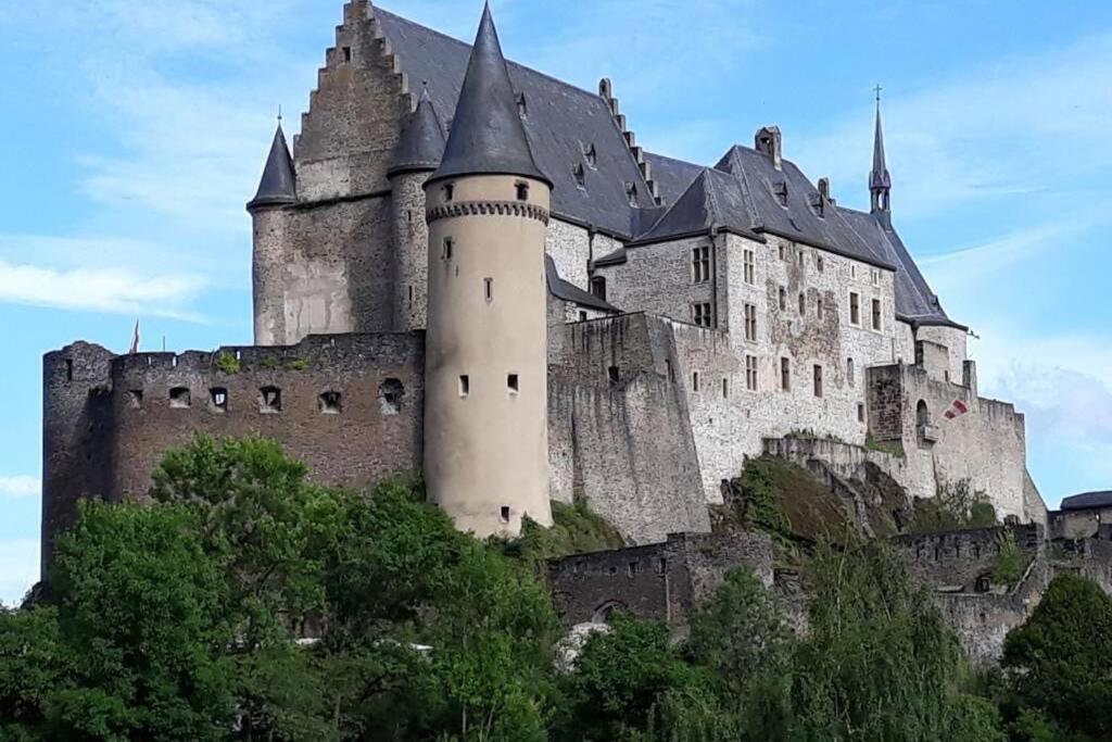 The Vianden Cottage - Charming Cottage In The Forest Esterno foto