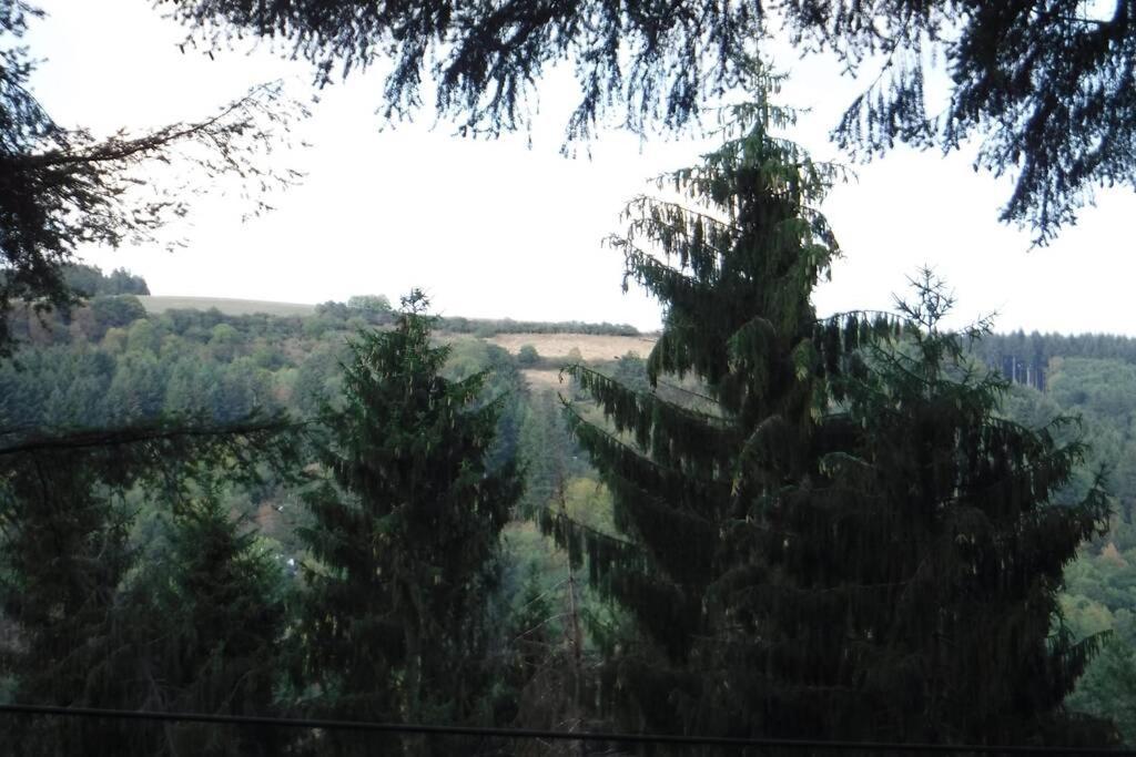 The Vianden Cottage - Charming Cottage In The Forest Esterno foto