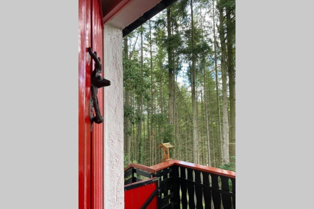 The Vianden Cottage - Charming Cottage In The Forest Esterno foto